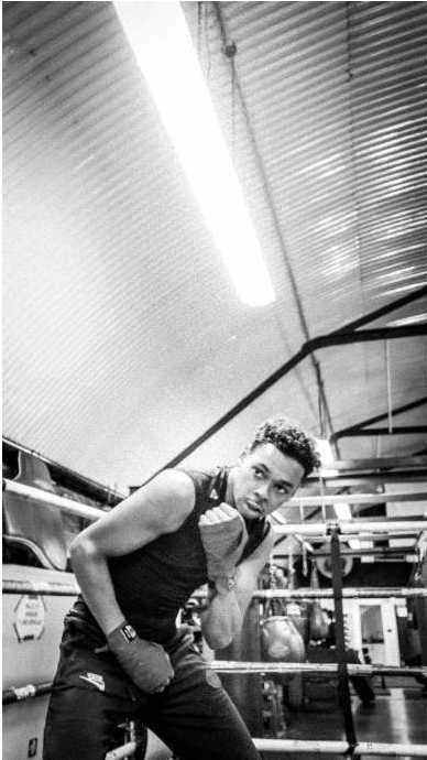 Pro Leather heavy bag crop